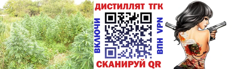 как найти наркотики  Гурьевск  ТГК вейп 