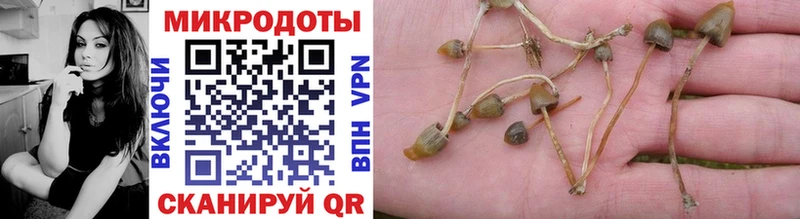 Псилоцибиновые грибы мицелий  закладка  Гурьевск 