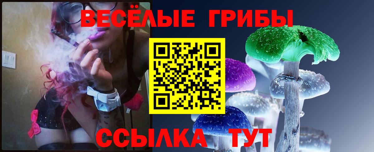 Гурьевск  Псилоцибиновые грибы MAGIC MUSHROOMS  Галлюциногенные грибы Psilocybine cubensis  Вход с VPN 